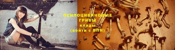 apvp Чекалин